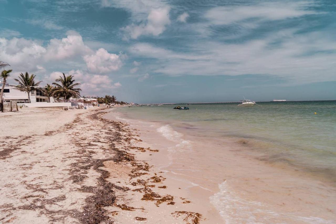 Luxury Condo, The Hidden Gem Playa Chaca. Live It! Progreso  Exterior photo